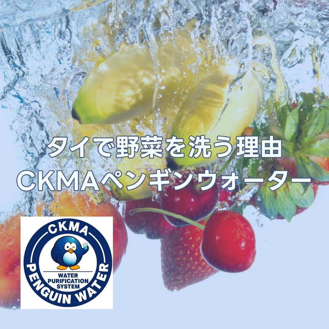 タイで野菜を洗う理由 | CKMAペンギンウォーター